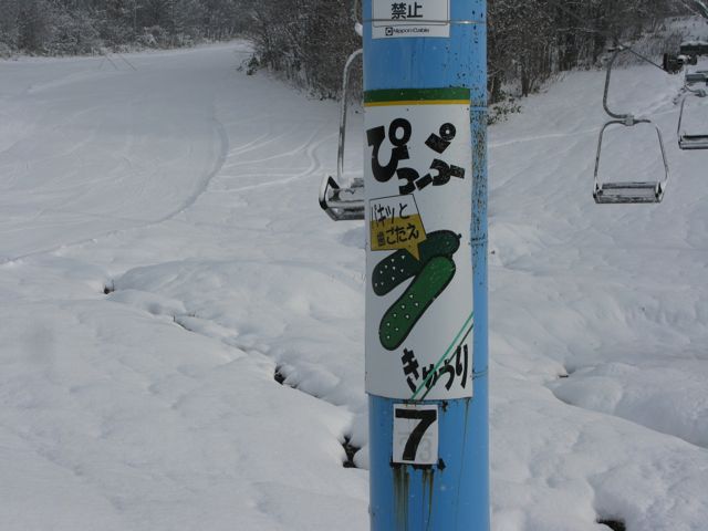 d0079579_6542410.jpg
