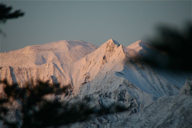 d0079579_654312.jpg