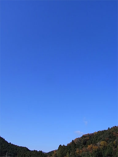 f0089079_3322816.jpg