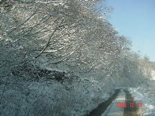 c0057781_15303543.jpg