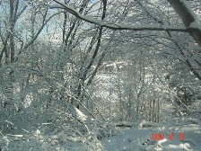 c0057781_15305852.jpg