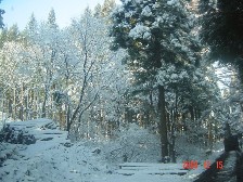c0057781_1532561.jpg