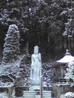 a0034487_1326496.jpg