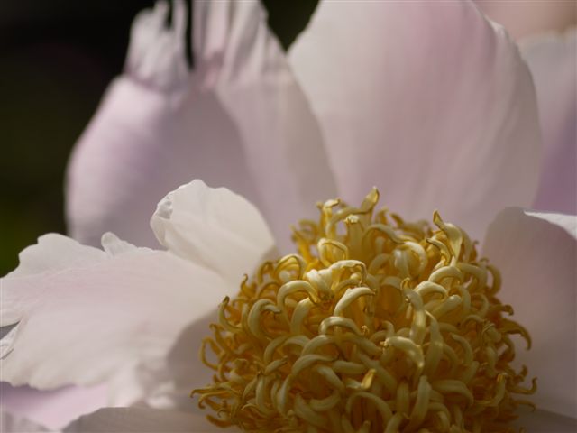 b0175688_2040387.jpg
