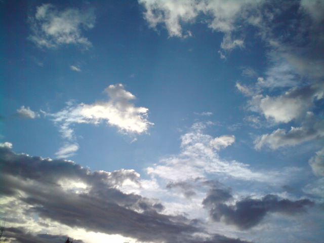 c0122788_436282.jpg
