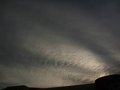 a0105289_204736.jpg
