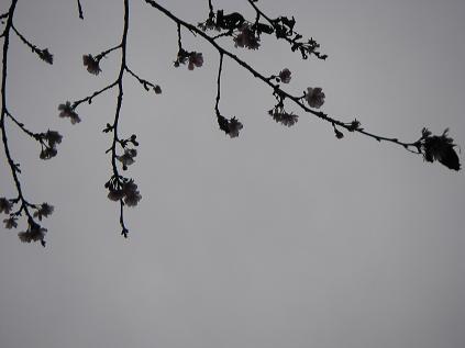 f0202990_23262943.jpg