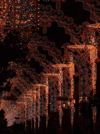 a0143491_17414766.jpg