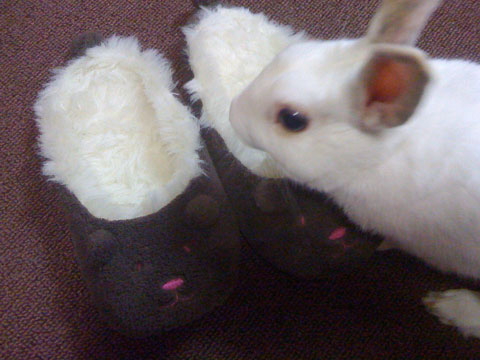 f0201191_21575892.jpg