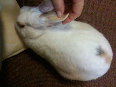 f0201191_2492250.jpg