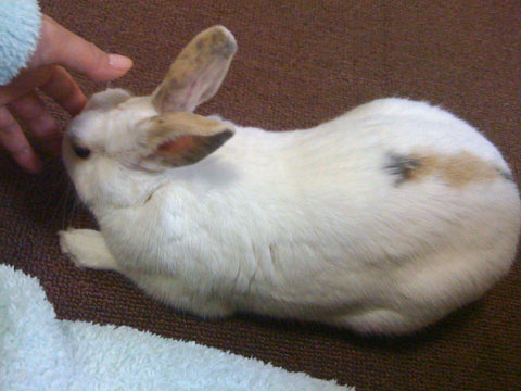 f0201191_2493495.jpg