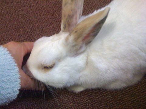 f0201191_2502024.jpg