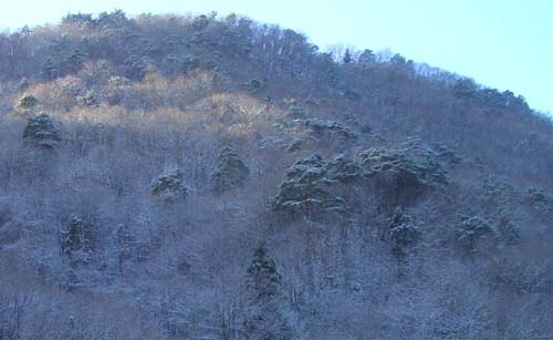 b0099994_17432977.jpg