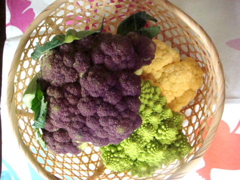 f0137694_0453827.jpg
