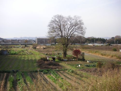 d0115997_13272597.jpg