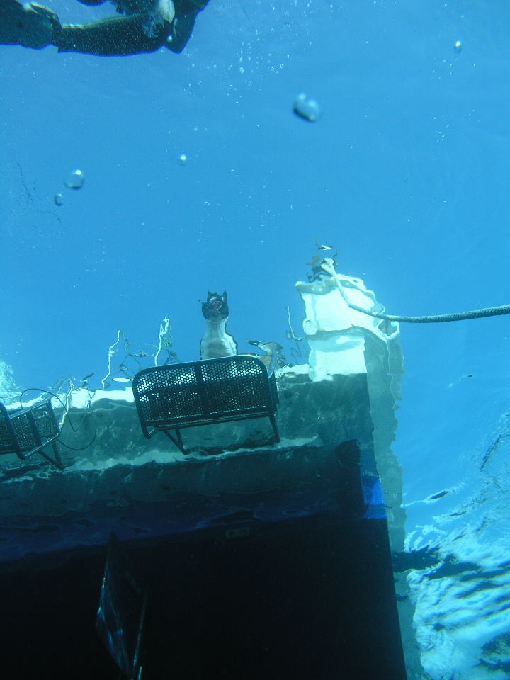 a0100798_2251045.jpg