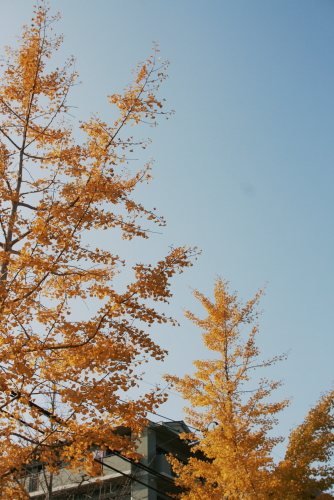 c0129498_23472320.jpg