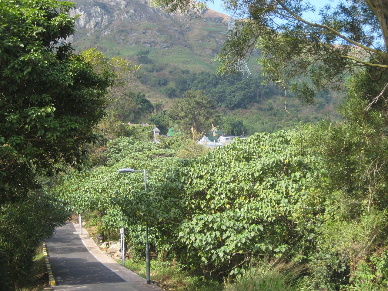 f0013998_2230498.jpg