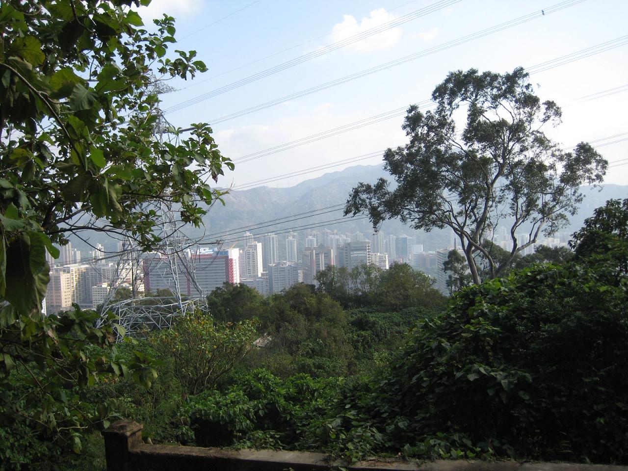 f0013998_22314558.jpg