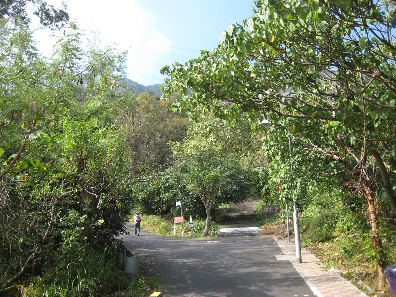 f0013998_22315444.jpg