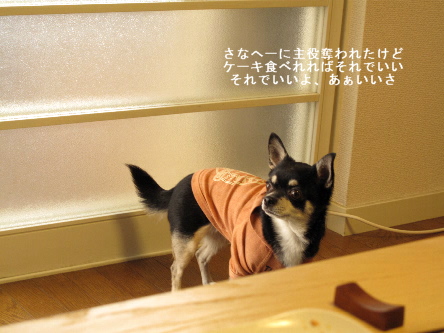 a0079803_23262635.jpg