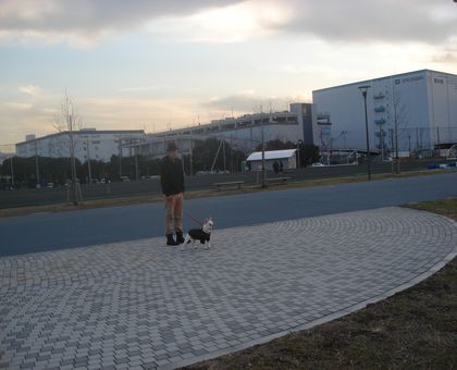 b0148106_67339.jpg