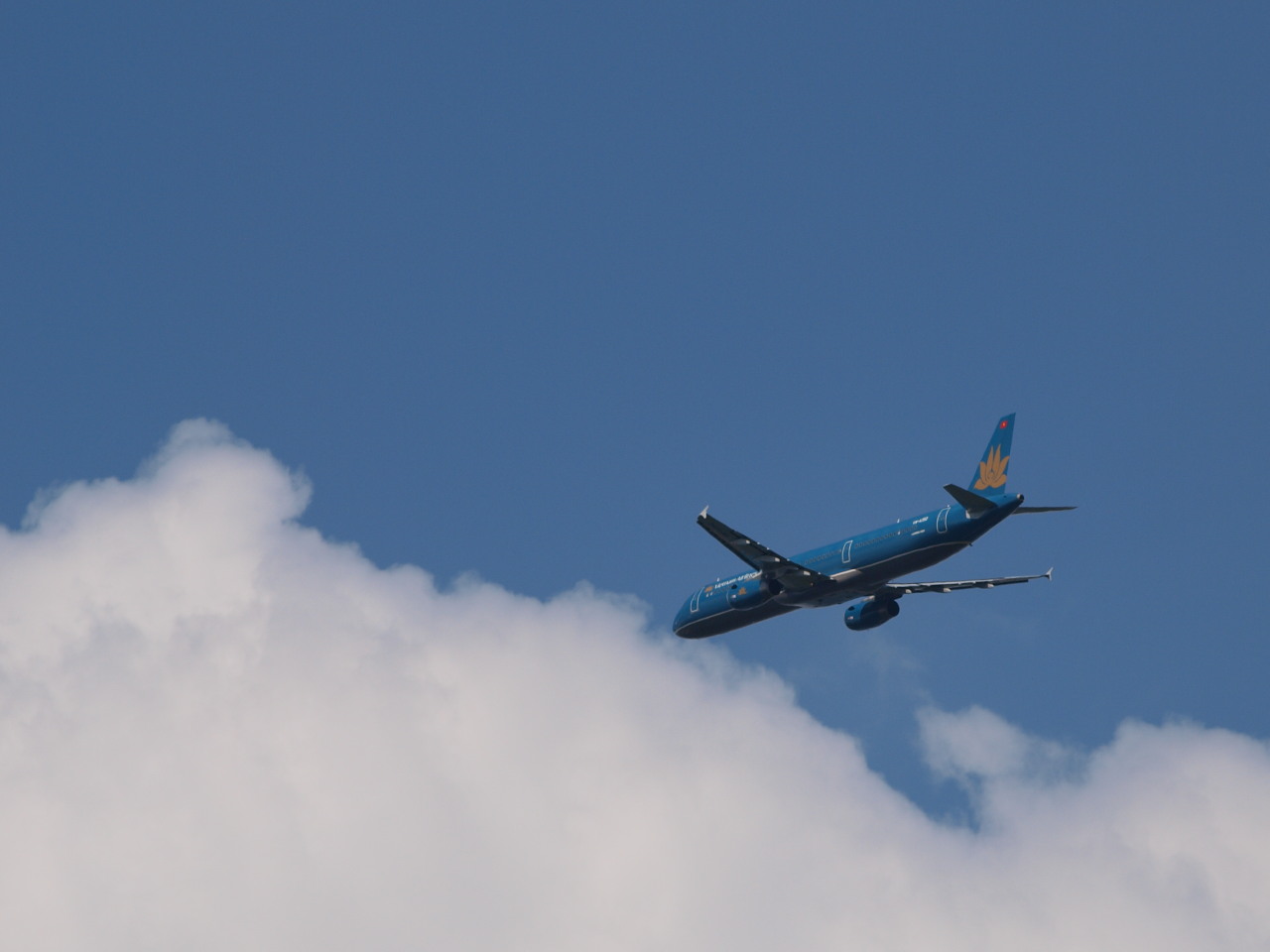 b0168218_231475.jpg