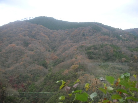 b0007421_2233118.jpg