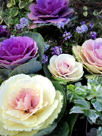 c0124322_20315333.jpg