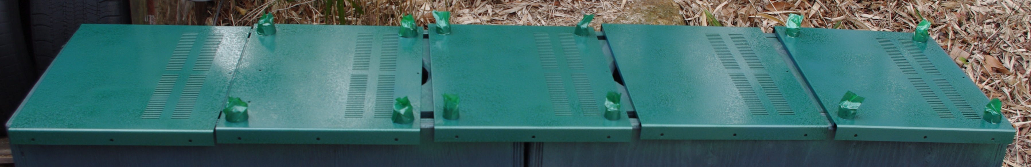 f0201222_13185039.jpg