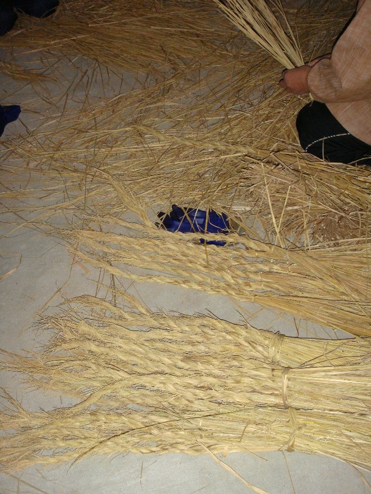c0111229_17341741.jpg
