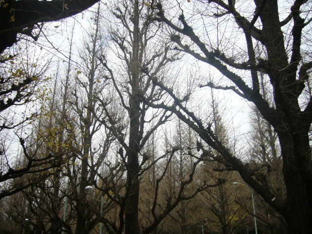 f0023329_11173717.jpg