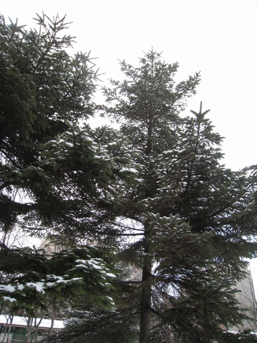 b0168830_14445861.jpg