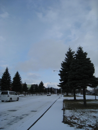 b0168830_14591586.jpg