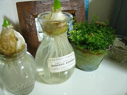 c0211740_1873531.jpg
