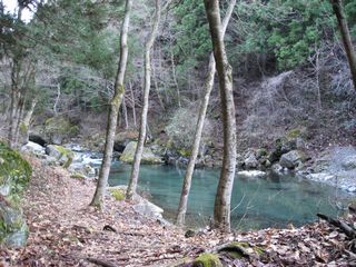 f0065341_23302788.jpg