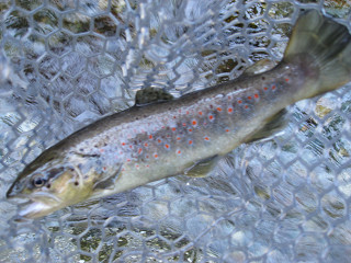 f0065341_23305181.jpg