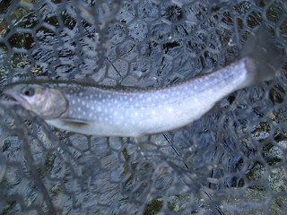 f0065341_23312095.jpg