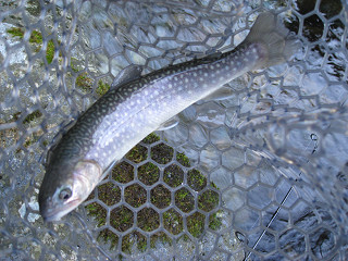 f0065341_23314113.jpg
