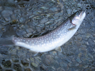 f0065341_23323818.jpg