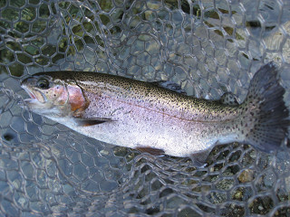 f0065341_2381439.jpg