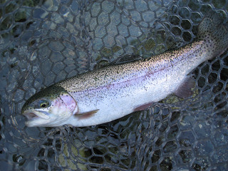 f0065341_2385270.jpg