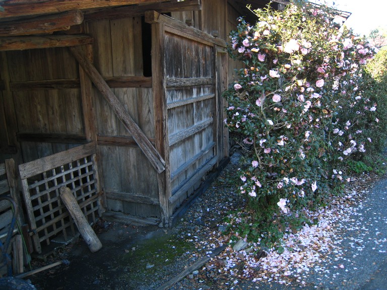 e0009147_19265448.jpg