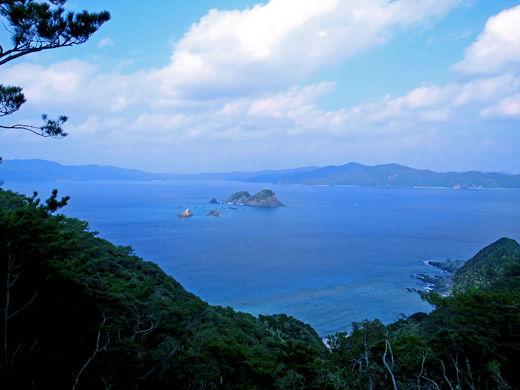 b0062363_2034624.jpg