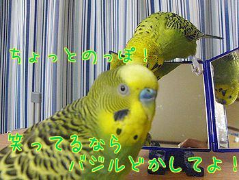 f0196665_0481714.jpg