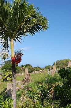 e0128367_2122622.jpg