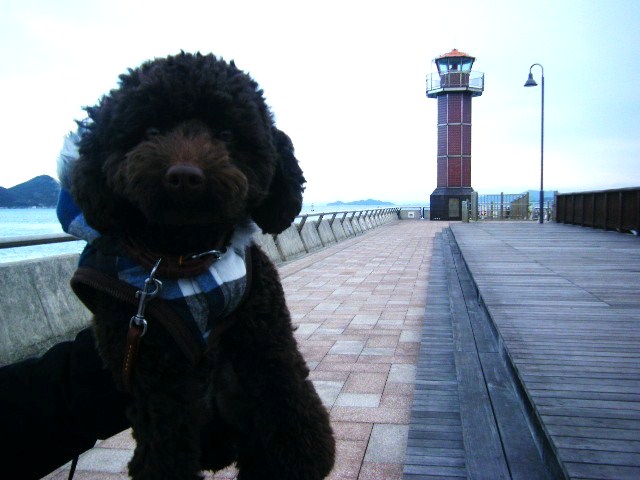 f0207970_10512484.jpg