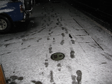 d0050871_20133599.gif