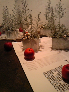 c0010572_21461660.jpg