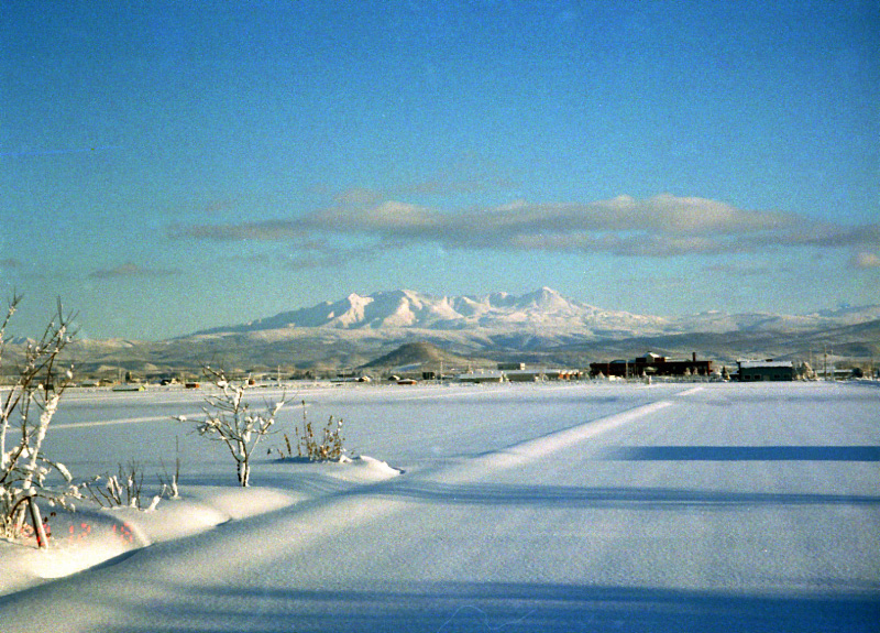 e0100772_230735.jpg